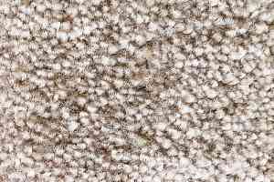 Ковролин AW Masquerade Gaudia 44 фото  | FLOORDEALER